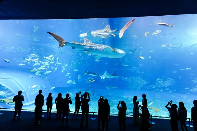 Aquarium museum in Japan
